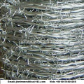 PVC Coated Dan Galvanized Barbed Wire